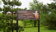 Naučnici sa Harvarda stižu u Viminacijum da se pridruže našim arheolozima