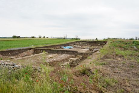 Viminacijum, ostaci broda, ostaci mamuta