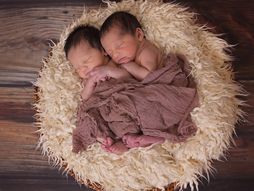 Blizanci, Ilustracija