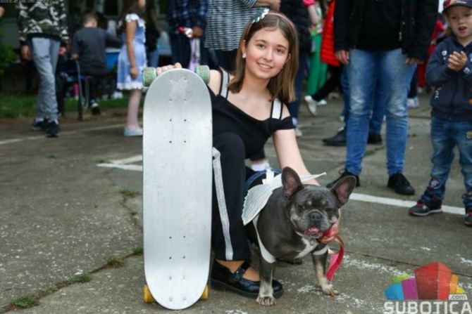 Modna revija sa životinjama na Dan škole Modna revija sa životinjama na Dan škole