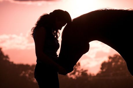 Konj i vlasnikove emocije