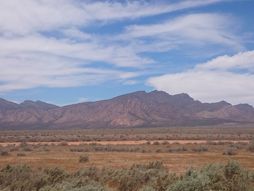 Nacionalni park Nilpena Ediacara, Australija