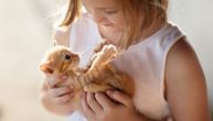 Kako naučiti dete da odmalena voli životinje i brine o njima? Sledite sledeće savete
