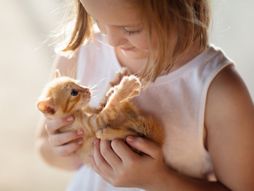 Koje rase mačaka se dobro slažu sa decom