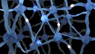 Da li je "fuzija" neurona uzrok "moždane magle" prilikom zaraze koronavirusom?