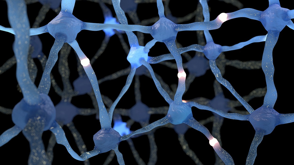 Novootkrivena moždana mreža je „tajni sistem“ sačinjen od pomoćnih ćelija