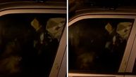 Noću se iz kola čuje lavež: Zemunac snimio automobil u kome su navodno danima zarobljeni psi