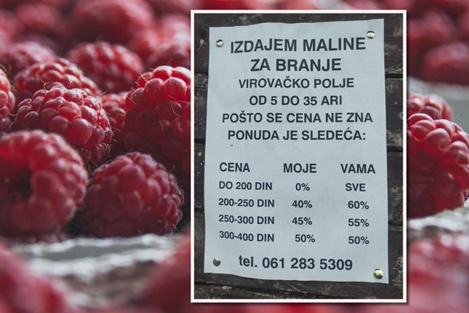 Maline