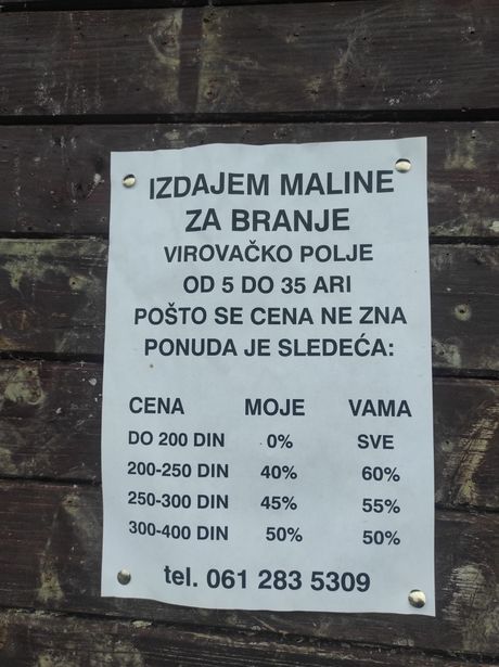 Oglas za maline Oglas za maline