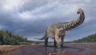 Ovaj australijski džin je zvanično najveći dinosaurus koji je ikad postojao na najmanjem kontinentu