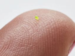 Najmanja tašna na svetu