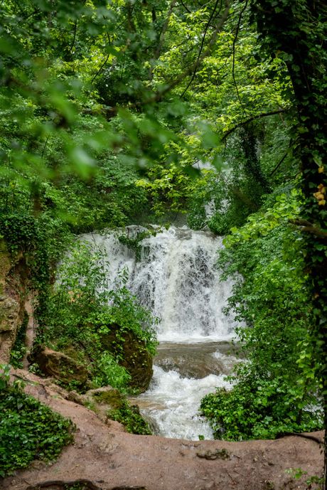 Sokobanja, Poplava, Srbija