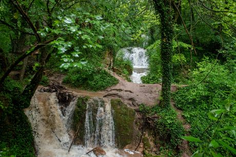 Sokobanja, Poplava, Srbija