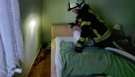 Lisica ušla u spavaću sobu kod Petrinje, smestila se pored kreveta: Šokirana vlasnica zvala vatrogasce u pomoć
