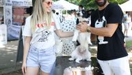 U Beogradu održan drugi Festival uličnih pasa: Kalemegdan ugostio više od 25.000 posetilaca
