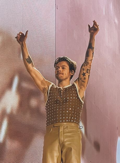 Harry Styles, Hari Stajls