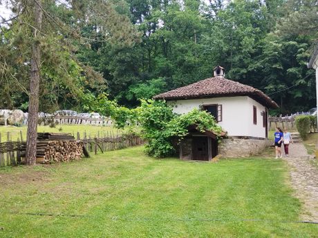 Dan maline Brankovina