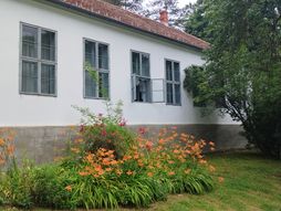 Dan maline Brankovina