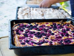 Kolač od dudova dud dudovi