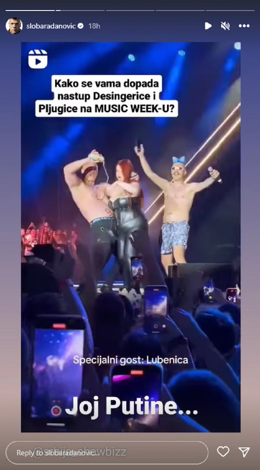 Desingerica i Pljugica