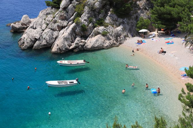 1931495897 1931495897