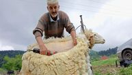 Majstor Miloš četvrt veka šiša ovce: Po životinji uzima 400 dinara, a sina priprema za naslednika