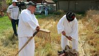 U Sajanu kod Kikinde održane žetelačke svečanosti: Predstavljanje starog načina života na selu