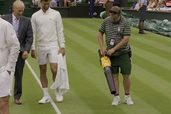 Vimbldon, Novak Đoković, fen Vimbldon, Novak Đoković, fen