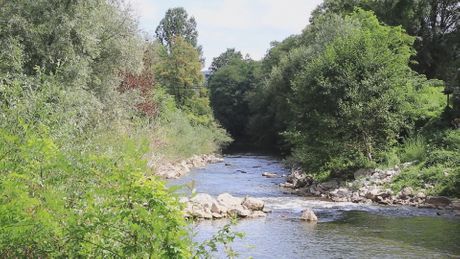 Veliki Rzav