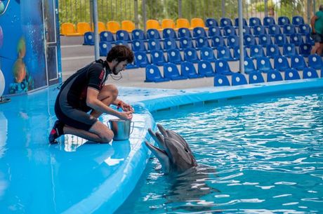 Svetski dan delfina u zarobljeništvu
