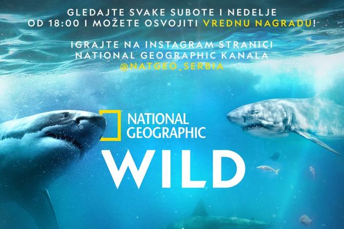 Sharkfest, National Geographic Sharkfest, National Geographic