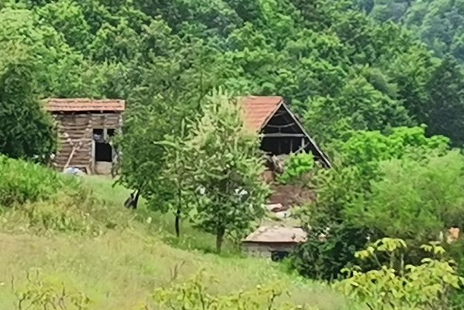 Boljevac ubistvo i samoubistvo porodično nasilje, Dobro polje Z. P.