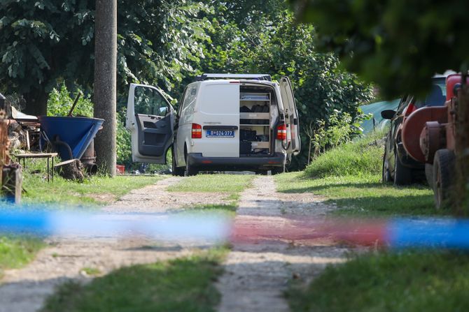 Mladenovac, Ubistvo Međulužje, dečak ubio brata