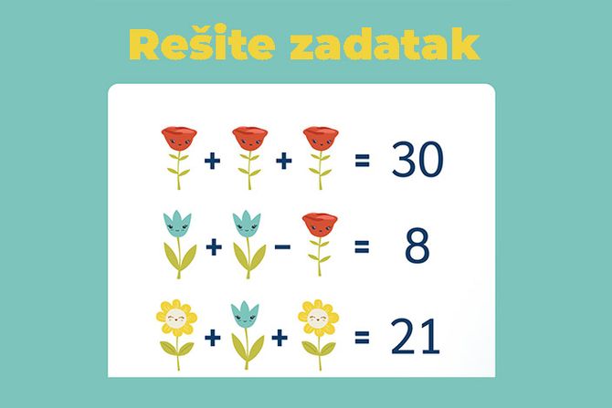 test, zadatak, mozgalica test, zadatak, mozgalica
