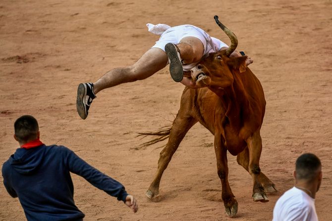 Španija Pamplona bikovi festival