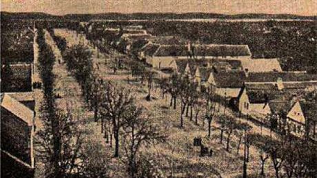 Bulkes Bački Maglić Grci Istorija Jugoslavija