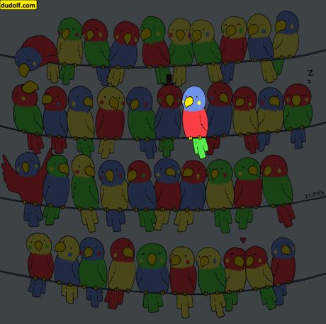 Gergely Dudás opticka varka