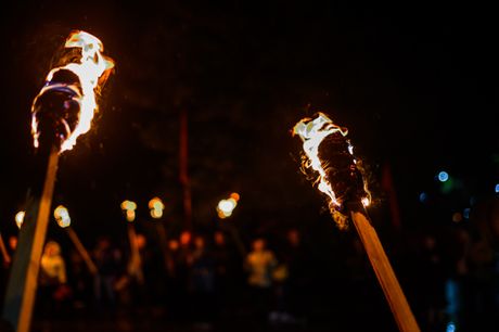 lile petrovdan petrovdanske lile lile petrovdan petrovdanske lile