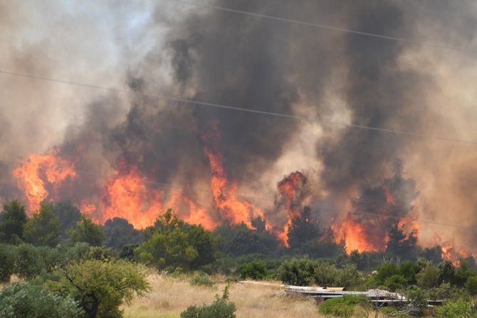 Hrvatska Šibenik Požar