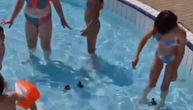 Nezvani gosti na novosadskom bazenu: Deca poskakala od sreće kada su ih ugledali