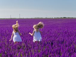 horoskop, rođendan, bliznakinje, čestitka