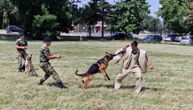 U toku obuka vojnih službenih pasa i vodiča: Pohađaju je profesionalci, uče i pružanje prve pomoći životinji