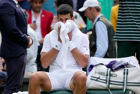 Novak Đoković, Vimbldon Novak Đoković, Vimbldon