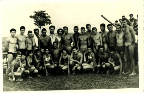 Tomislav Šušulić rođen je u Vlasotincu 7. februara 1934.