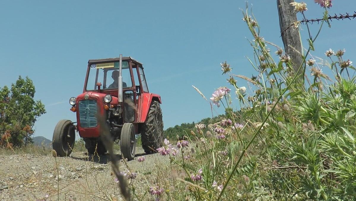 Ivanu zatekao lešinu kad je krenuo na njivu: Dignuta uzbuna, selo u strahu, meštani se boje od najgorih vesti