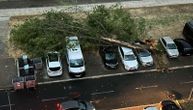 Automobili pod drvećem: Stabla padala ko posečena, blokirala saobraćaj