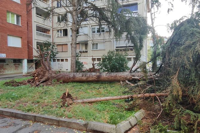 Nevreme, oluja, Niš