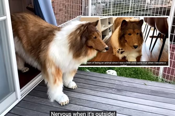 Pas zanimljivosti Pas zanimljivosti