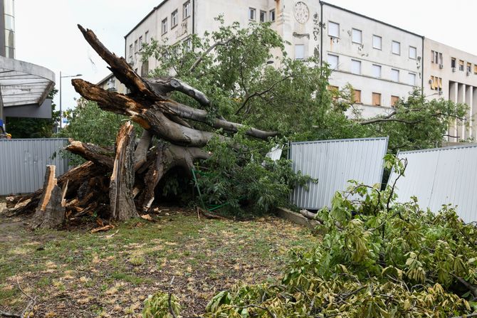 Novi Sad nevreme posledice