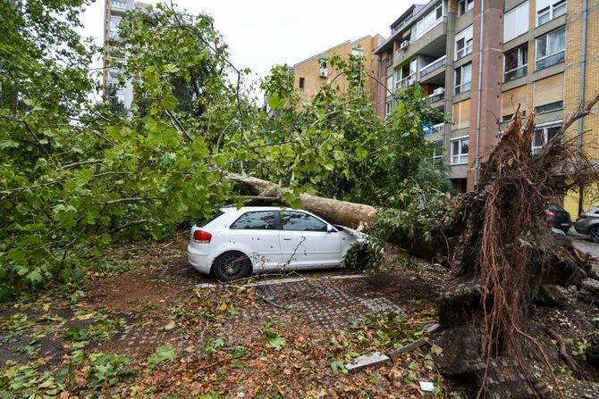 Novi Sad nevreme posledice